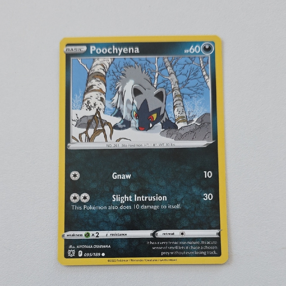 Pokemon Poochyena Card